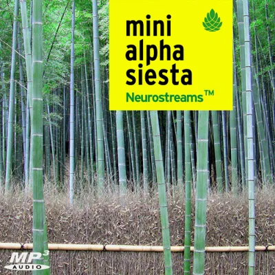 Produktbild Neurostreams Mini Alpha Siesta (10 Entspannungsaudios)