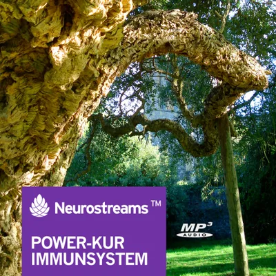 Produktbild Neurostreams Power Kur Immunsystem