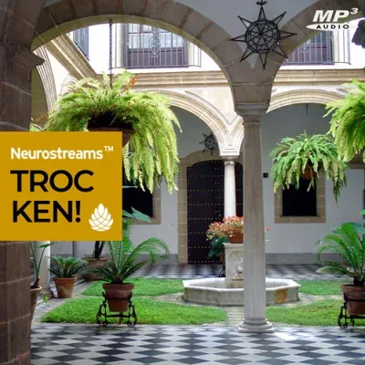 Produktbild Neurostreams Trocken!