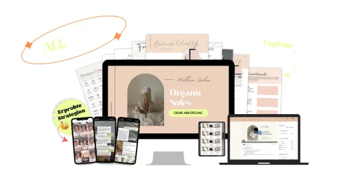 Produktbild Organic Sales (Instagram-Kurs)