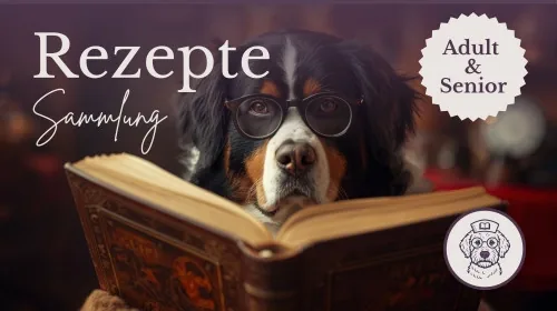 Produktbild Rezeptesammlung für adulte Hunde und Senioren