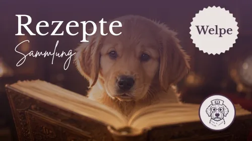 Produktbild Rezeptesammlung für Welpen und Junghunde