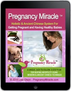 E-Book Pregnancy Miracle auf einem Tablet