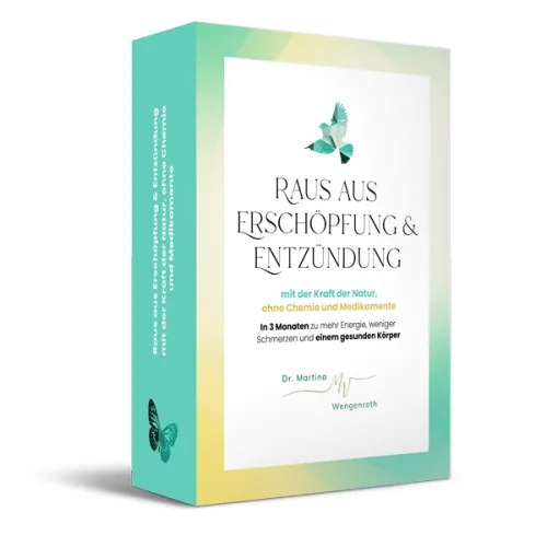 Produktbild Raus aus Erschöpfung und Entzündung (Videokurs)