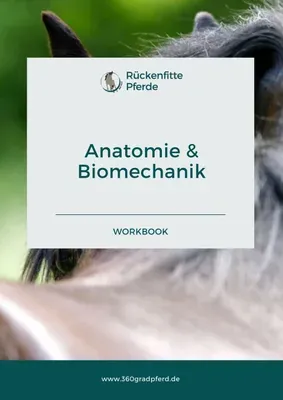 Produktbild Workbook Rückenfitte Pferde: Anatomie und Biomechanik