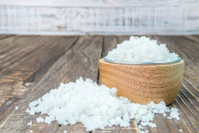 Produktbild Salz in der Tierheilpraxis