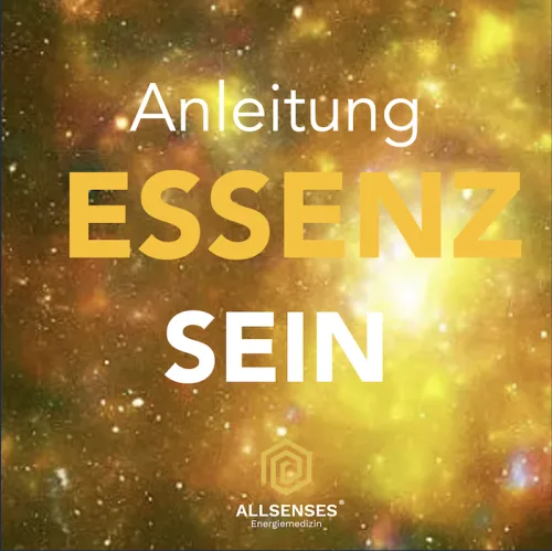 Produktbild Audio Schwinge in der Essenz von ALLSENSES