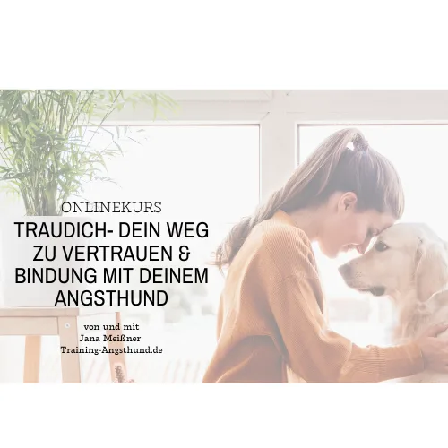 Produktbild TrauDich, Vertrauen und Bindung mit deinem Angsthund