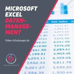 Produktbild Video-Kurs: Microsoft Excel zur Dateneingabe (Kurs 2)