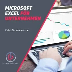 Produktbild Video-Kurs: Microsoft Excel im Unternehmen (Kurs 1)