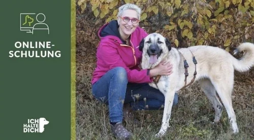 Produktbild Onlineschulung: Wecke den Optimisten in deinem Hund