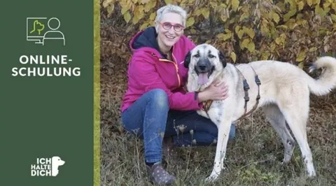 Produktbild Onlineschulung: Wecke den Optimisten in deinem Hund