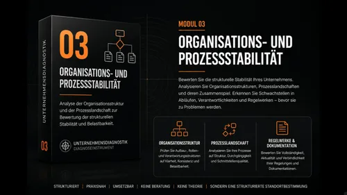 Produktbild Modul 03 Organisations- und Prozessstabilität der Unternehmensdiagnostik von Weipert