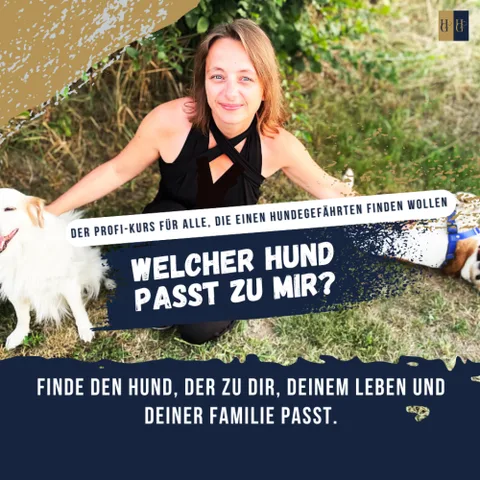 Produktbild Booster-Kurs "Welcher Hund passt zu mir?"