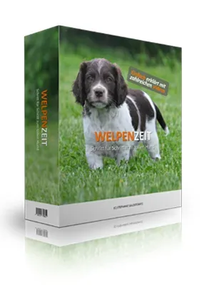 Produktbild Welpenzeit (Online-Hundeschule)