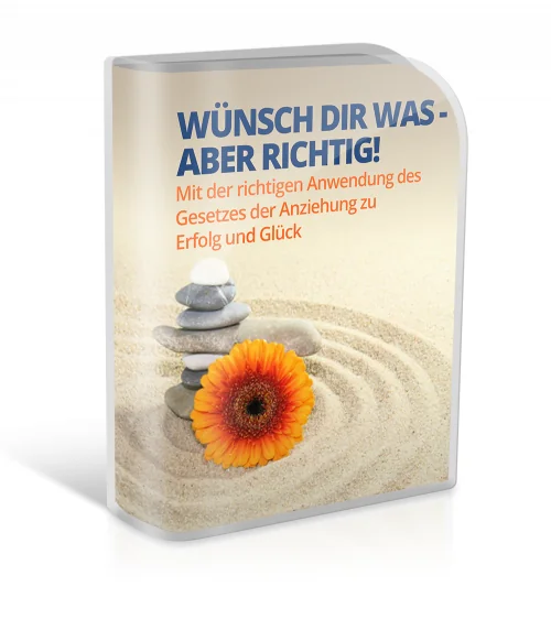 Produktbox Wünsch dir was aber richtig mit Blume auf Steinen